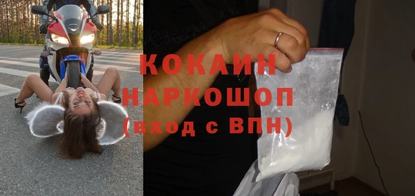стаф Кулебаки