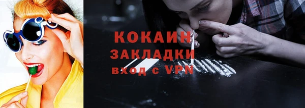 стаф Кулебаки