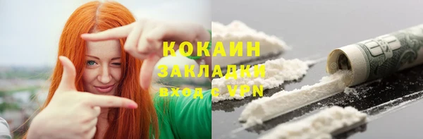 стаф Кулебаки