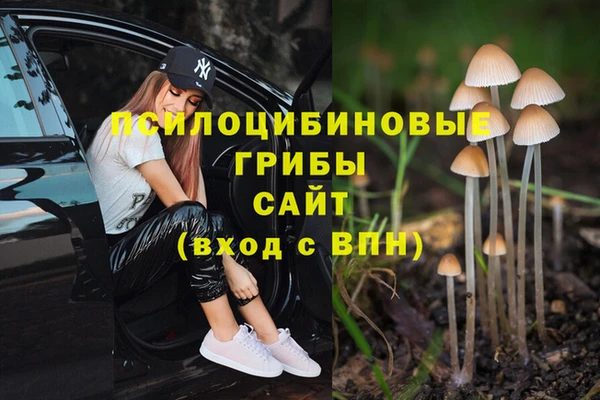 МДПВ Краснотурьинск