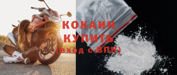 стаф Кулебаки