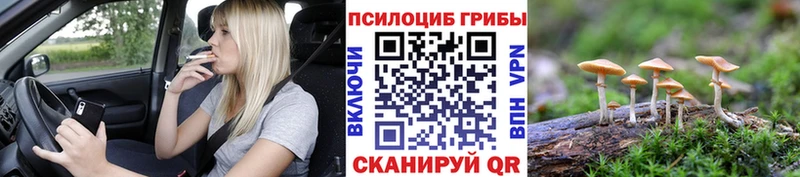 маркетплейс клад Малгобек Галлюциногенные грибы мухоморы
