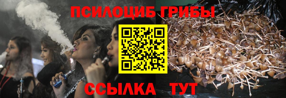 Малгобек  Галлюциногенные грибы MAGIC MUSHROOMS  Вход с VPN 